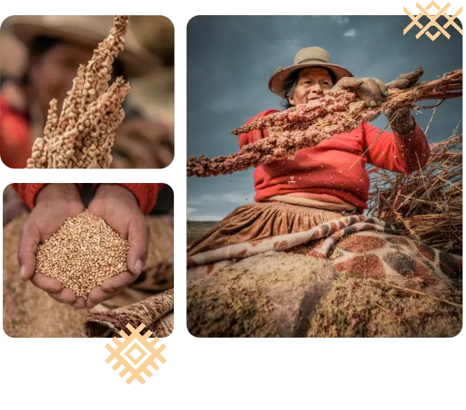 Trabajo con proveedores