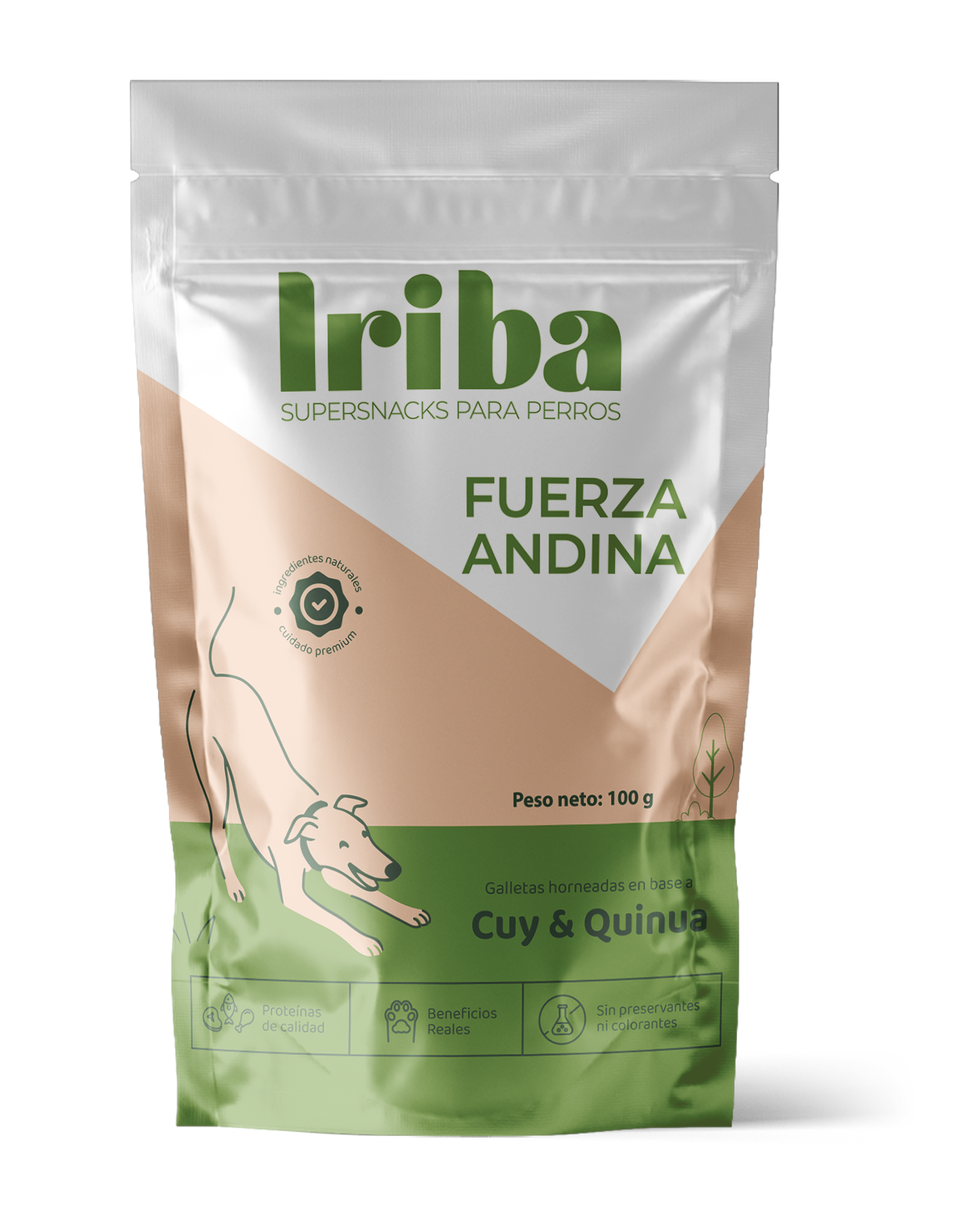 Fuerza Andina